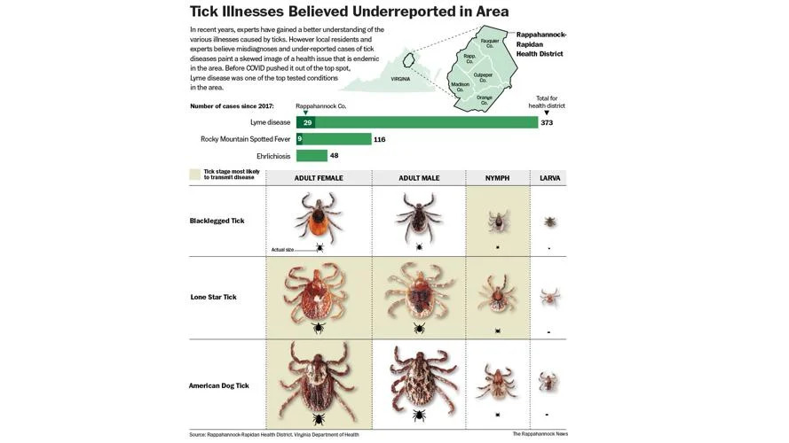 Ticks & Tick-borne Illness in Rappahannock